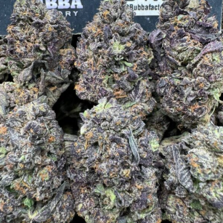 JUNGLE NERDZ STRAIN