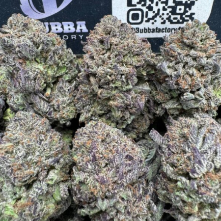 PURPLE GARANIMALS