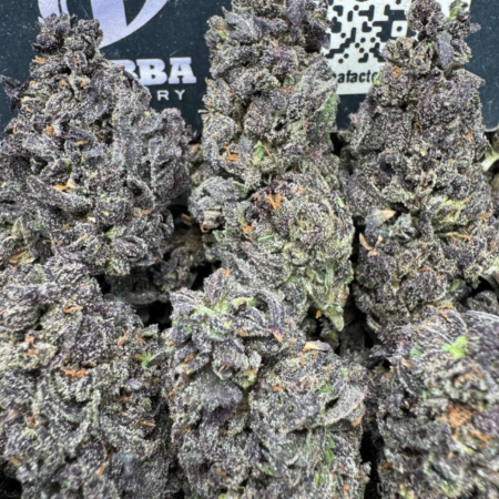 PURPLE GUSHERS